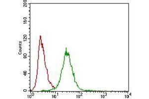 Flow cytometric analysis of Hela cells using ZEB1 mouse mAb (green) and negative control (red). (ZEB1 anticorps  (AA 967-1108))