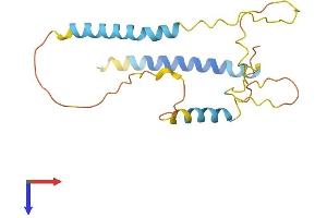 AlphaFold protein structure predicition of Mouse Recombinant Bnip3 Protein, UniprotID O55003
