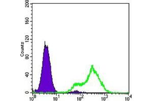 Flow cytometric analysis of LOVO cells using FABP2 mouse mAb (green) and negative control (purple).