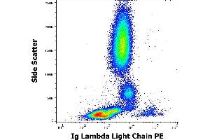 Flow cytometry surface staining pattern of human peripheral whole blood stained using anti-human Ig Lambda Light Chain (1-155-2) PE antibody (10 μL reagent / 100 μL of peripheral whole blood). (Lambda-IgLC anticorps  (PE))