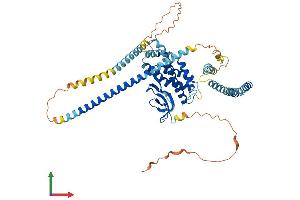 AlphaFold protein structure predicition of Human Recombinant SPATA18 Protein, UniprotID Q8TC71