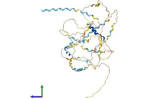 AlphaFold protein structure predicition of Human Recombinant WIPF3 Protein, UniprotID A6NGB9