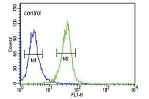 Flow Cytometry (FACS) image for anti-DnaJ (Hsp40) Homolog, Subfamily C, Member 6 (DNAJC6) antibody (ABIN3004410) (DNAJC6 anticorps)