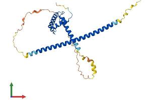 AlphaFold protein structure predicition of Mouse Recombinant Msantd3 Protein, UniprotID Q9CR78