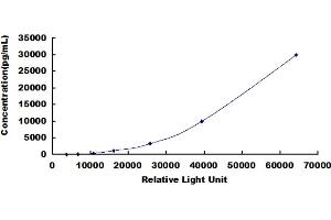 ELISA image for Concanavalin A (ConA) CLIA Kit (ABIN492331)