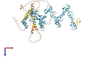 AlphaFold protein structure predicition of Human Recombinant ZNF860 Protein, UniprotID A6NHJ4