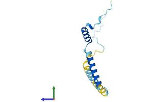 AlphaFold protein structure predicition of Mouse Recombinant Fam32a Protein, UniprotID Q9CR80