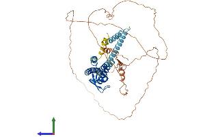AlphaFold protein structure predicition of Human Recombinant GJA10 Protein, UniprotID Q969M2