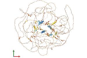 AlphaFold protein structure predicition of Human Recombinant BCL9L Protein, UniprotID Q86UU0