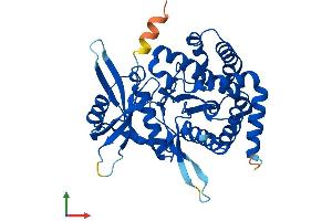AlphaFold protein structure predicition of Human Recombinant HYKK Protein, UniprotID A2RU49