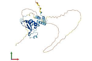 AlphaFold protein structure predicition of Human Recombinant QKI Protein, UniprotID Q96PU8