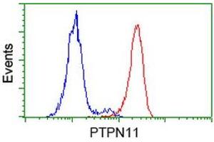 Flow cytometric Analysis of Hela cells, using anti-PTPN11 antibody (ABIN2453870), (Red), compared to a nonspecific negative control antibody, (Blue). (PTPN11 anticorps)