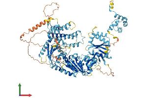 AlphaFold protein structure predicition of Human Recombinant ERCC4 Protein, UniprotID Q92889