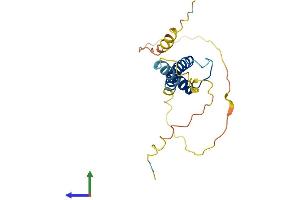 AlphaFold protein structure predicition of Human Recombinant TCF21 Protein, UniprotID O43680