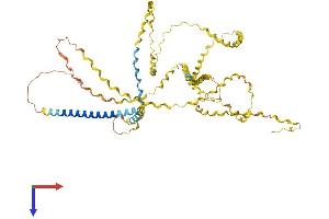 AlphaFold protein structure predicition of Human Recombinant COL23A1 Protein, UniprotID Q86Y22