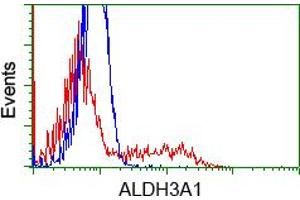 Image no. 1 for anti-Aldehyde Dehydrogenase 3 Family, Member A1 (ALDH3A1) antibody (ABIN1496591)