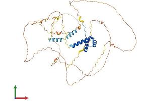 AlphaFold protein structure predicition of Human Recombinant EVX2 Protein, UniprotID Q03828