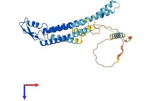 AlphaFold protein structure predicition of Human Recombinant GJA4 Protein, UniprotID P35212