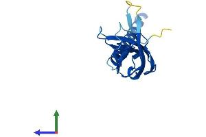 AlphaFold protein structure predicition of Human Recombinant SPCS3 Protein, UniprotID P61009
