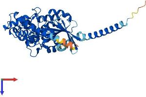 AlphaFold protein structure predicition of Human Recombinant GNAS Protein, UniprotID P63092