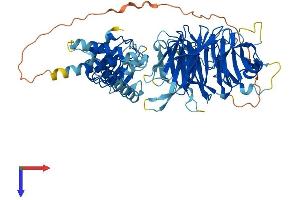 AlphaFold protein structure predicition of Human Recombinant LRWD1 Protein, UniprotID Q9UFC0