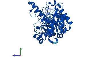 AlphaFold protein structure predicition of Mouse Recombinant Gde1 Protein, UniprotID Q9JL56
