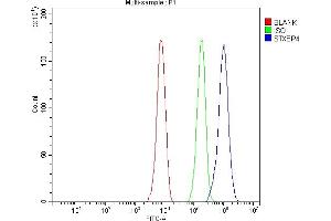 Flow Cytometry analysis of HepG2 cells using anti-Synip/STXBP4 antibody (ABIN7602066).