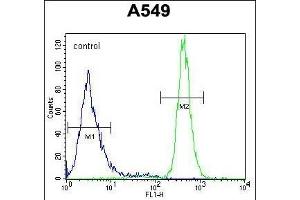 WFDC12 Antibody (C-term) (ABIN654327 and ABIN2844104) flow cytometric analysis of A549 cells (right histogram) compared to a negative control cell (left histogram).