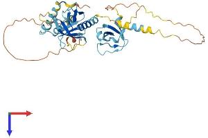 AlphaFold protein structure predicition of Mouse Recombinant Skap1 Protein, UniprotID Q3UUV5