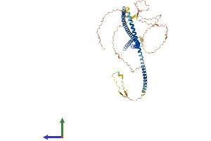 AlphaFold protein structure predicition of Human Recombinant POF1B Protein, UniprotID Q8WVV4