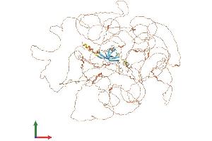 AlphaFold protein structure predicition of Human Recombinant PRX Protein, UniprotID Q9BXM0