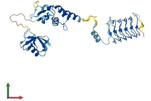 AlphaFold protein structure predicition of Mouse Recombinant Kctd9 Protein, UniprotID Q80UN1