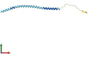 AlphaFold protein structure predicition of Human Recombinant VAMP5 Protein, UniprotID O95183