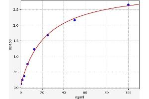 Typical standard curve (AMY2 Kit ELISA)