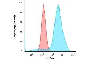 Flow Cytometric Analysis of SKBR-3 cells using B7-H4 Rabbit Recombinant Monoclonal Antibody (B7H4/2652R) followed by goat anti-rabbit IgG-CF488 (Blue); Isotype Control (Red). (Recombinant VTCN1 anticorps)