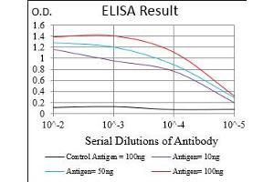 Black line: Control Antigen (100 ng), Purple line: Antigen(10 ng), Blue line: Antigen (50 ng), Red line: Antigen (100 ng), (WT1 anticorps  (AA 314-479))