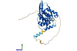 AlphaFold protein structure predicition of Mouse Recombinant Snx20 Protein, UniprotID Q9D2Y5