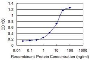 Detection limit for recombinant GST tagged NUBP1 is 0.