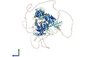 AlphaFold protein structure predicition of Human Recombinant BCR Protein, UniprotID P11274