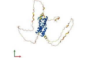 AlphaFold protein structure predicition of Human Recombinant POU5F1 Protein, UniprotID Q01860