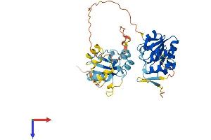 AlphaFold protein structure predicition of Human Recombinant DUSP6 Protein, UniprotID Q16828