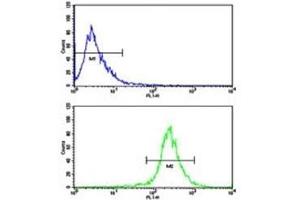 Flow cytometric analysis of WiDr cells using AXL antibody (bottom histogram) compared to a negative control (top histogram).