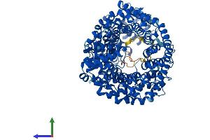 AlphaFold protein structure predicition of Mouse Recombinant Tnpo2 Protein, UniprotID Q99LG2
