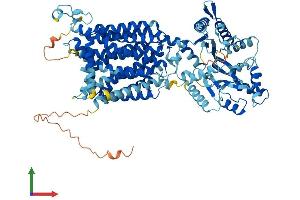 AlphaFold protein structure predicition of Human Recombinant PTCHD1 Protein, UniprotID Q96NR3