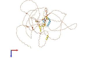 AlphaFold protein structure predicition of Mouse Recombinant Ccdc8 Protein, UniprotID D3YZV8