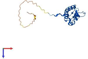 AlphaFold protein structure predicition of Human Recombinant MRPL50 Protein, UniprotID Q8N5N7