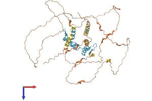 AlphaFold protein structure predicition of Mouse Recombinant Klf11 Protein, UniprotID Q8K1S5