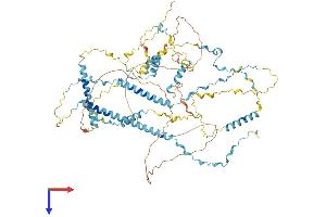 AlphaFold protein structure predicition of Mouse Recombinant Tpx2 Protein, UniprotID A2APB8
