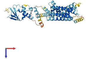 AlphaFold protein structure predicition of Human Recombinant KCNG3 Protein, UniprotID Q8TAE7