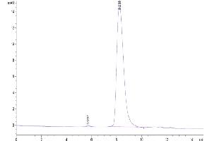 The purity of Biotinylated Human TNFR2 is greater than 95 % as determined by SEC-HPLC.